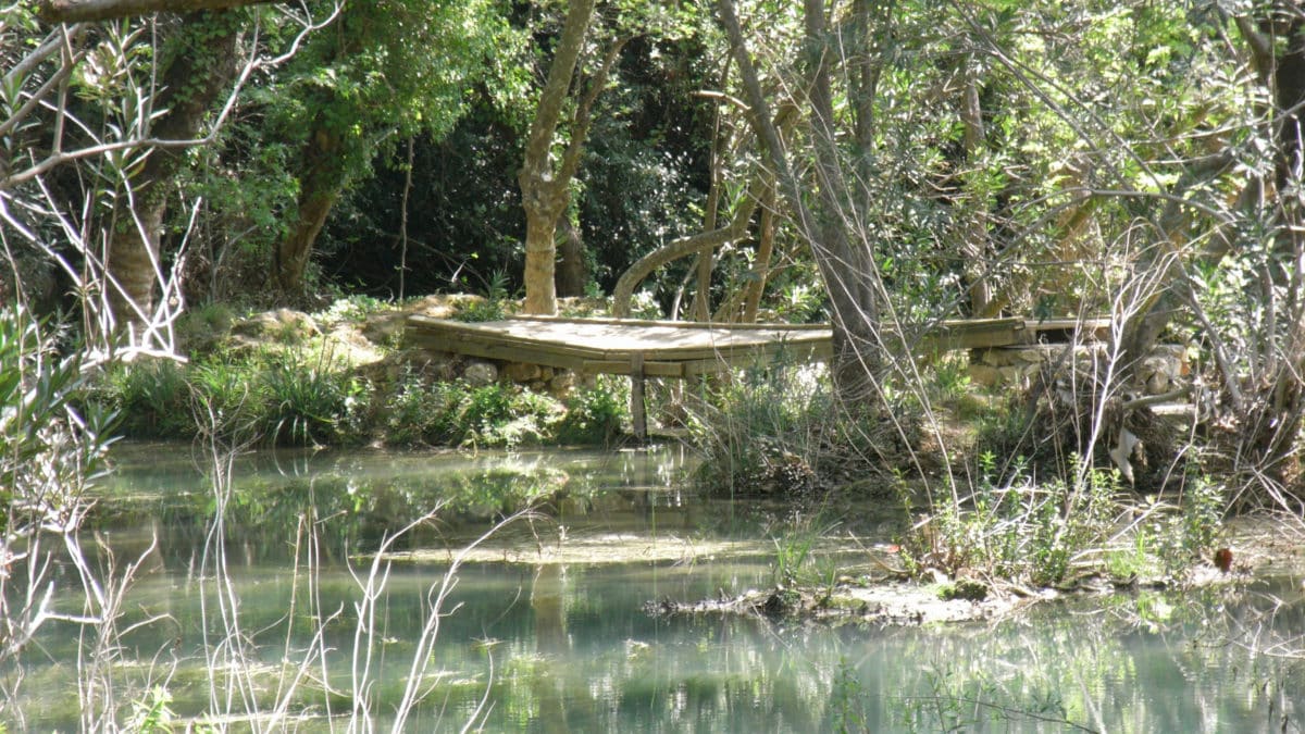 Übe dich in Achtsamkeit und entdecke in der Natur, was um dich herum passiert. Diese Hängebrücke wäre dir sonst vielleicht entgangen.