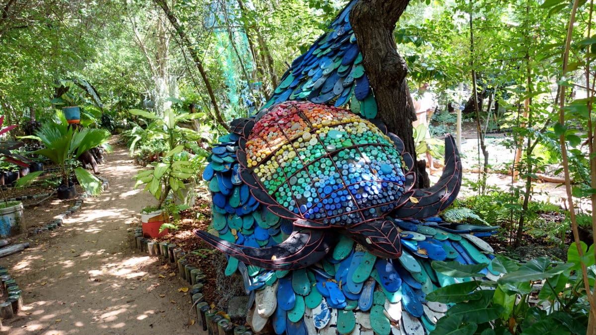 Schildkröte in Watamu in Kenia Afrika