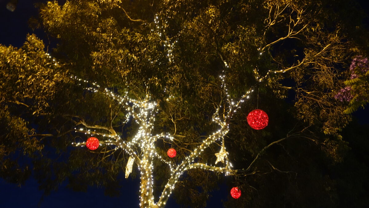 Weihnachtskugeln im Baum in Westaustralien