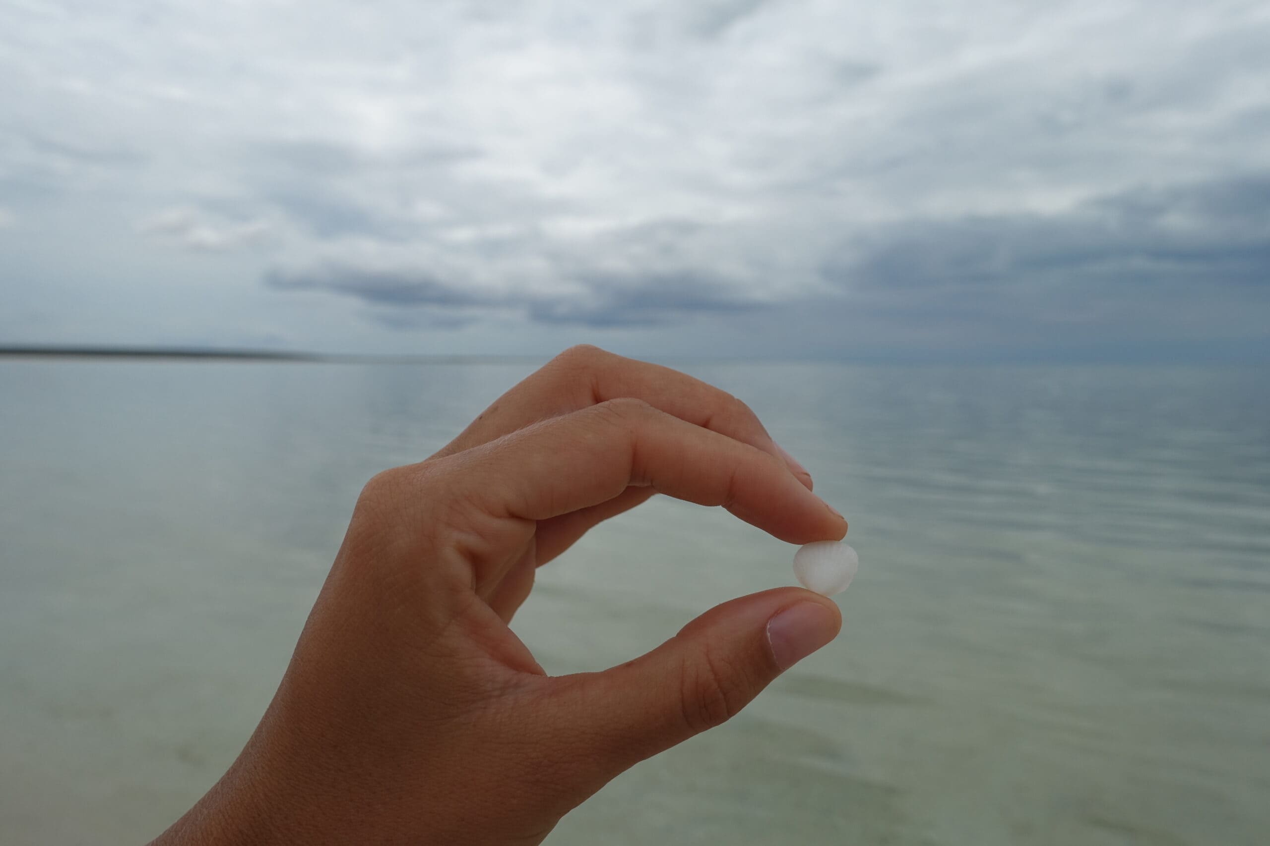 coverimage