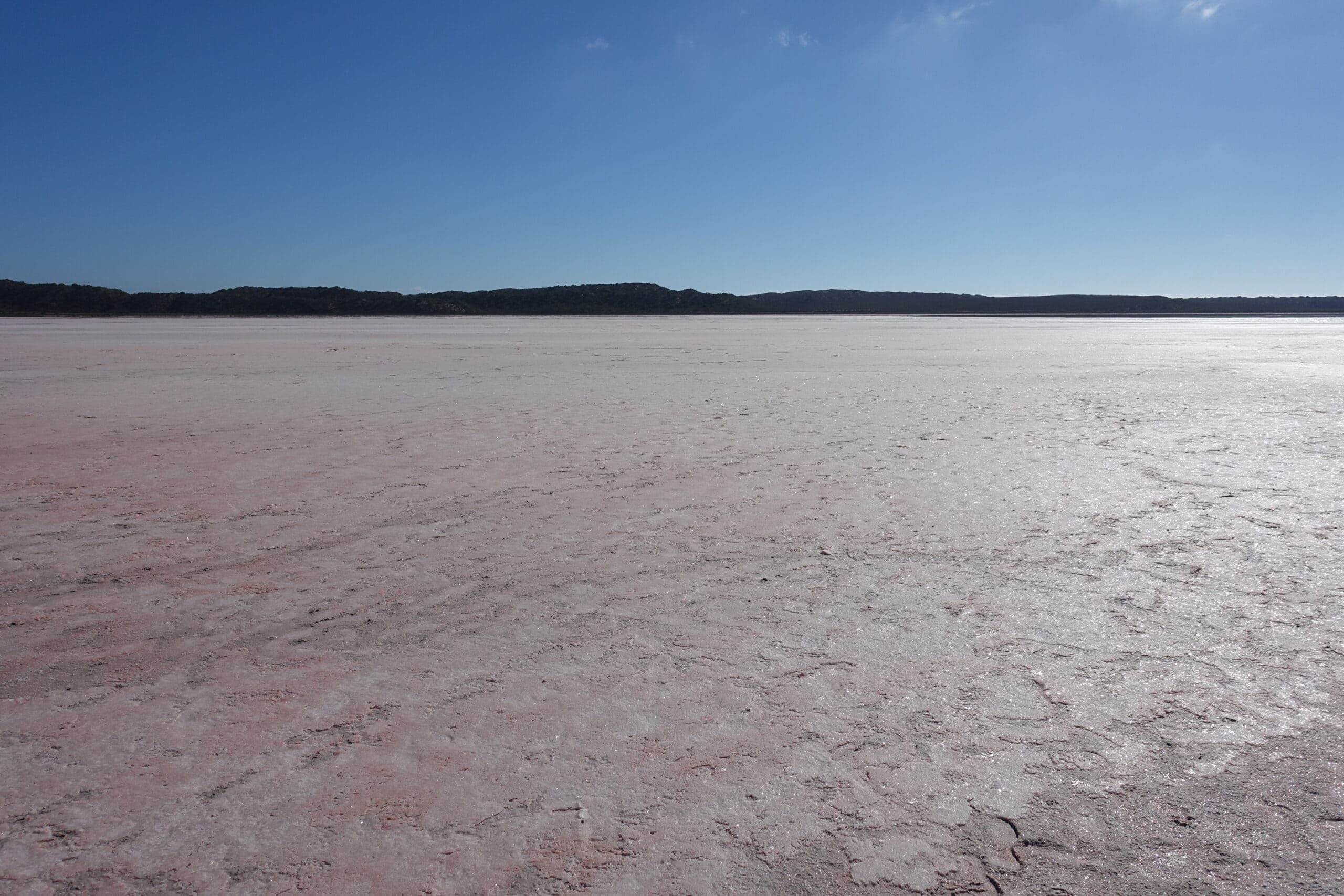 Der Pink Lake an der Westküste Australiens