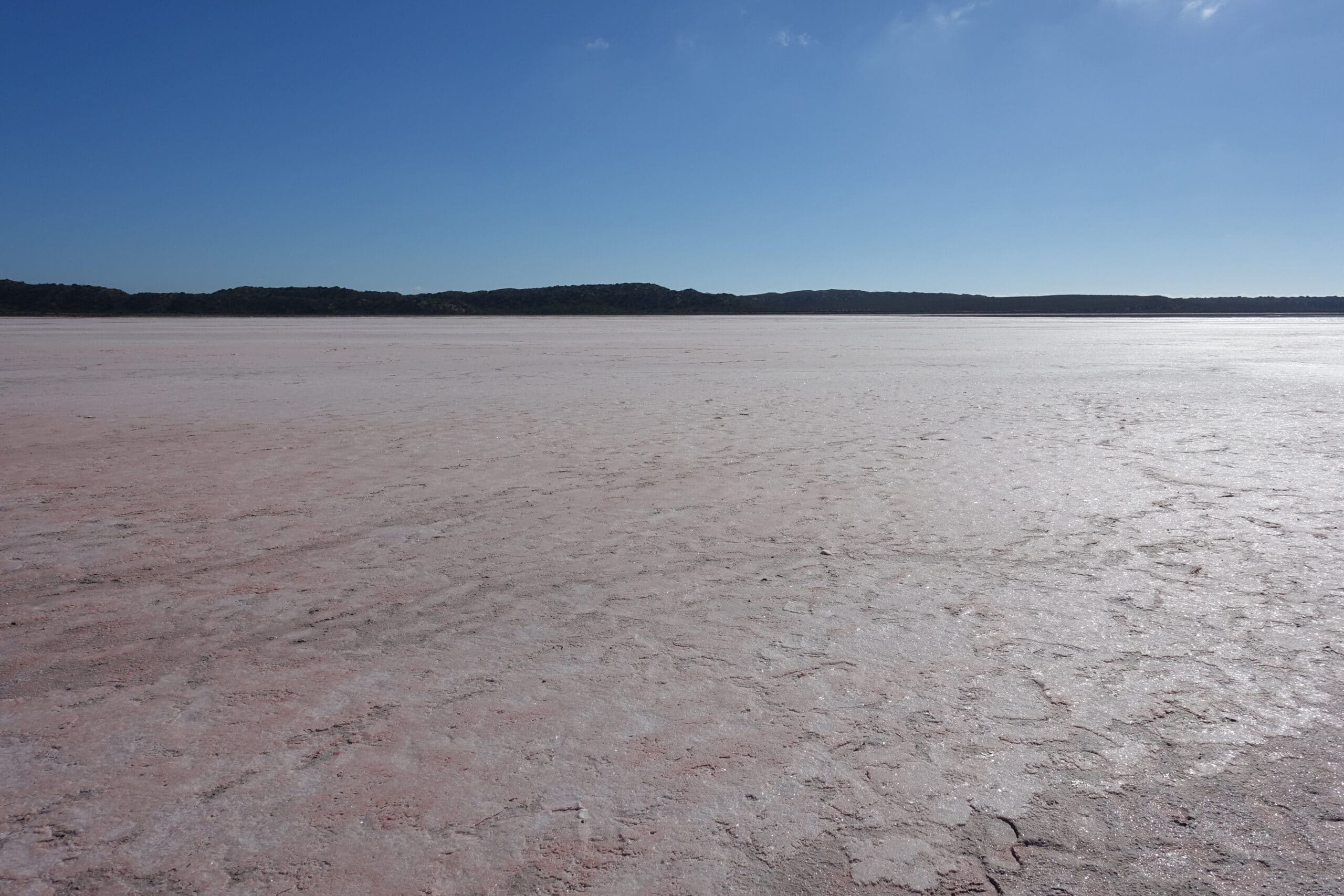 Der Pink Lake an der Westküste Australiens