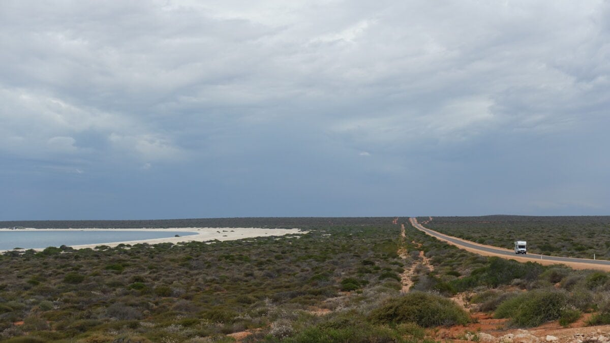 Shark Bay an der Westküste Australiens