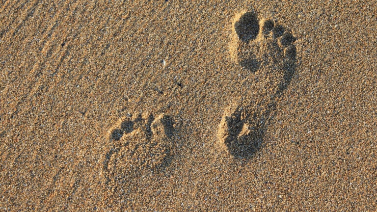 Barfuss wandern kann man in Bad Belzig in Brandenburg