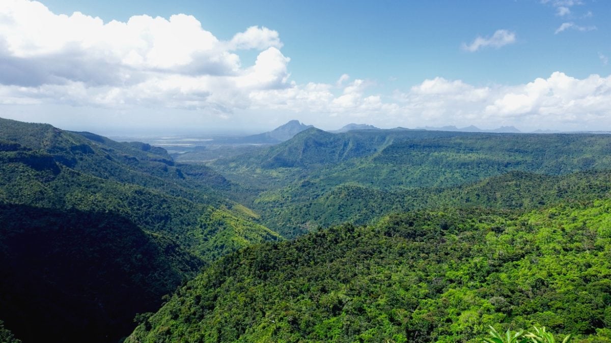 Der Black River Gorges National Park in Mauritius