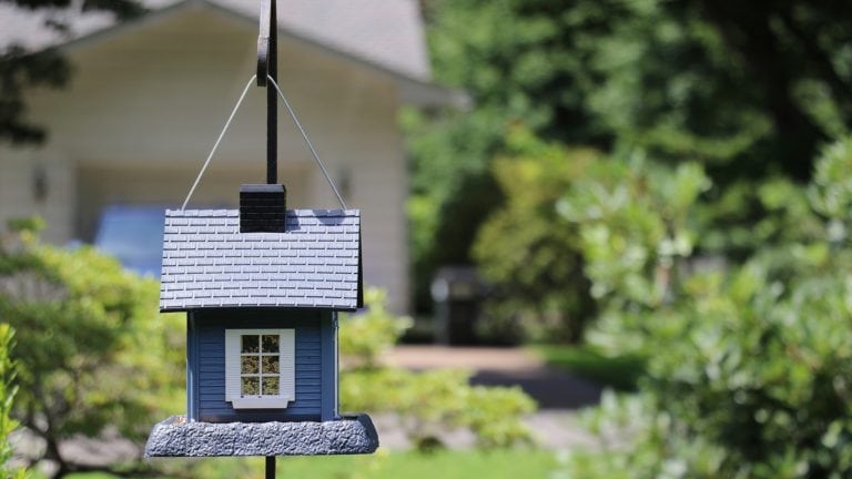 Zurück in Deutschland leben wir in einem blauen Holzhaus