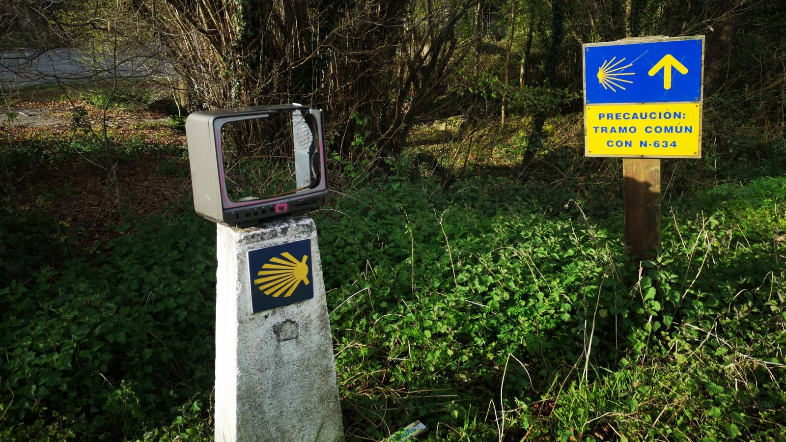 Camino Primitivo: Weg nach Tineo