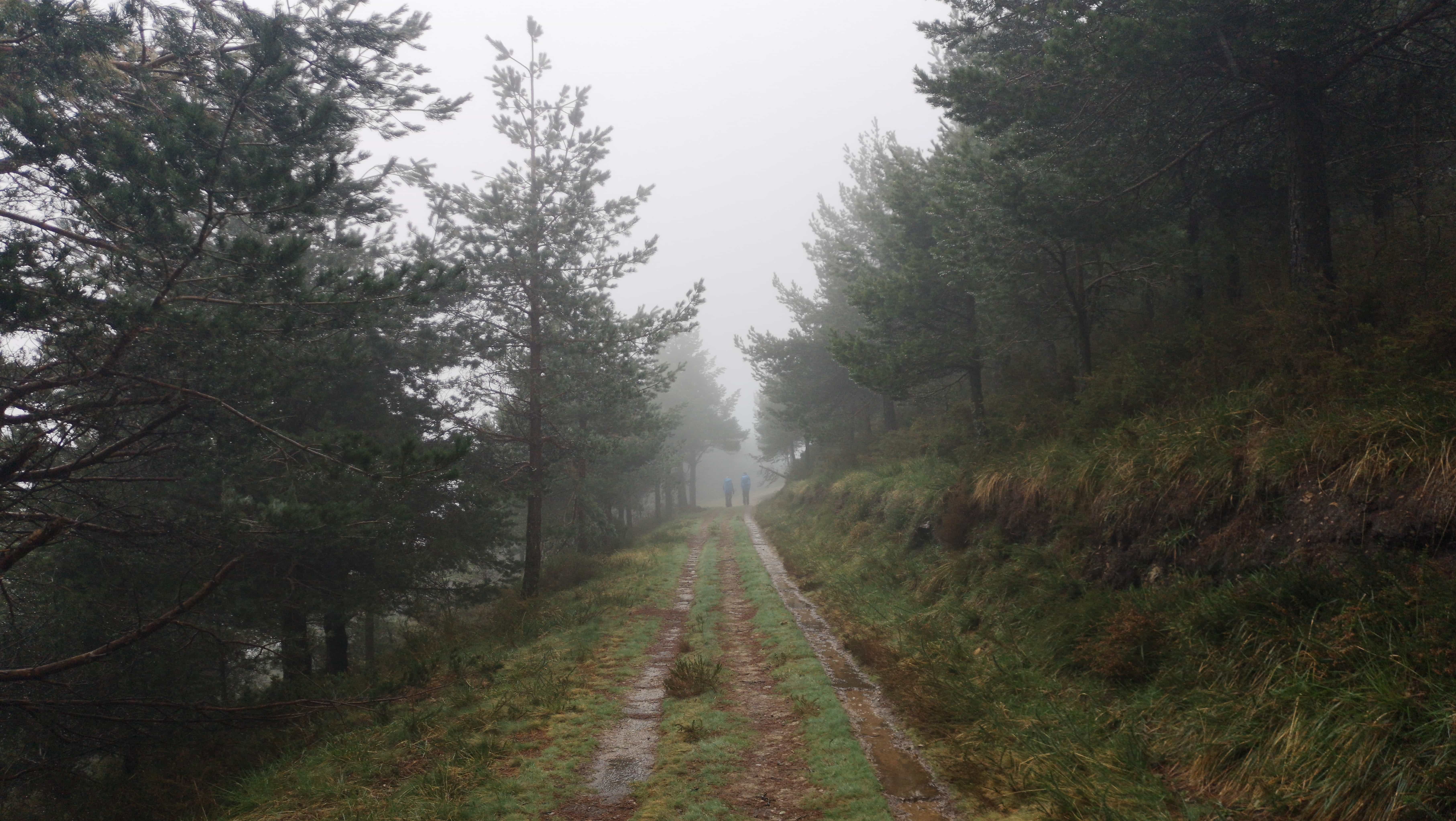 Durch den vielen Regen ist der Camino Primitivo heute besonders matschig.