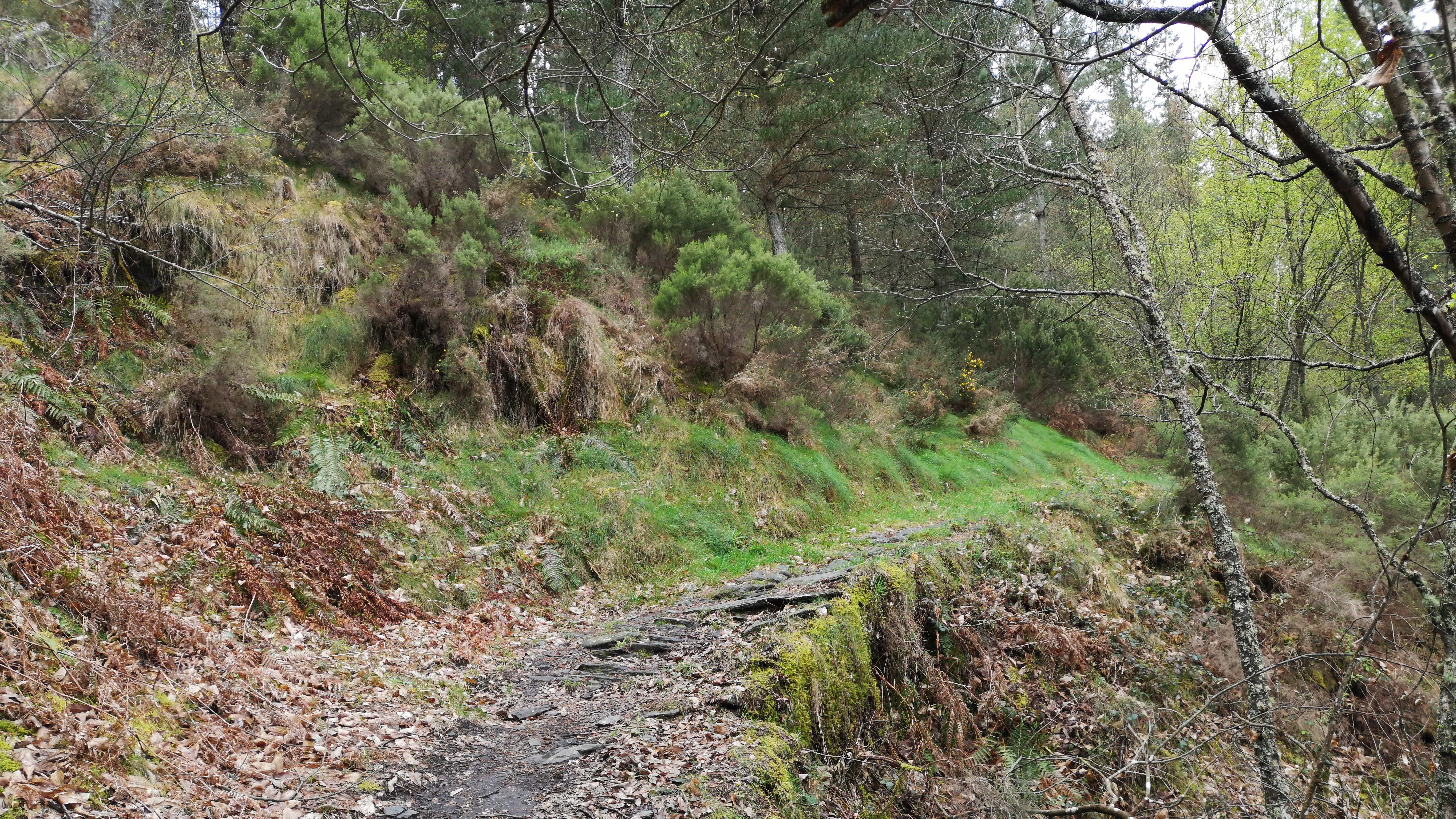 Der heutige Weg auf dem Camino Primitivo führt uns direkt am Abhang entlang.