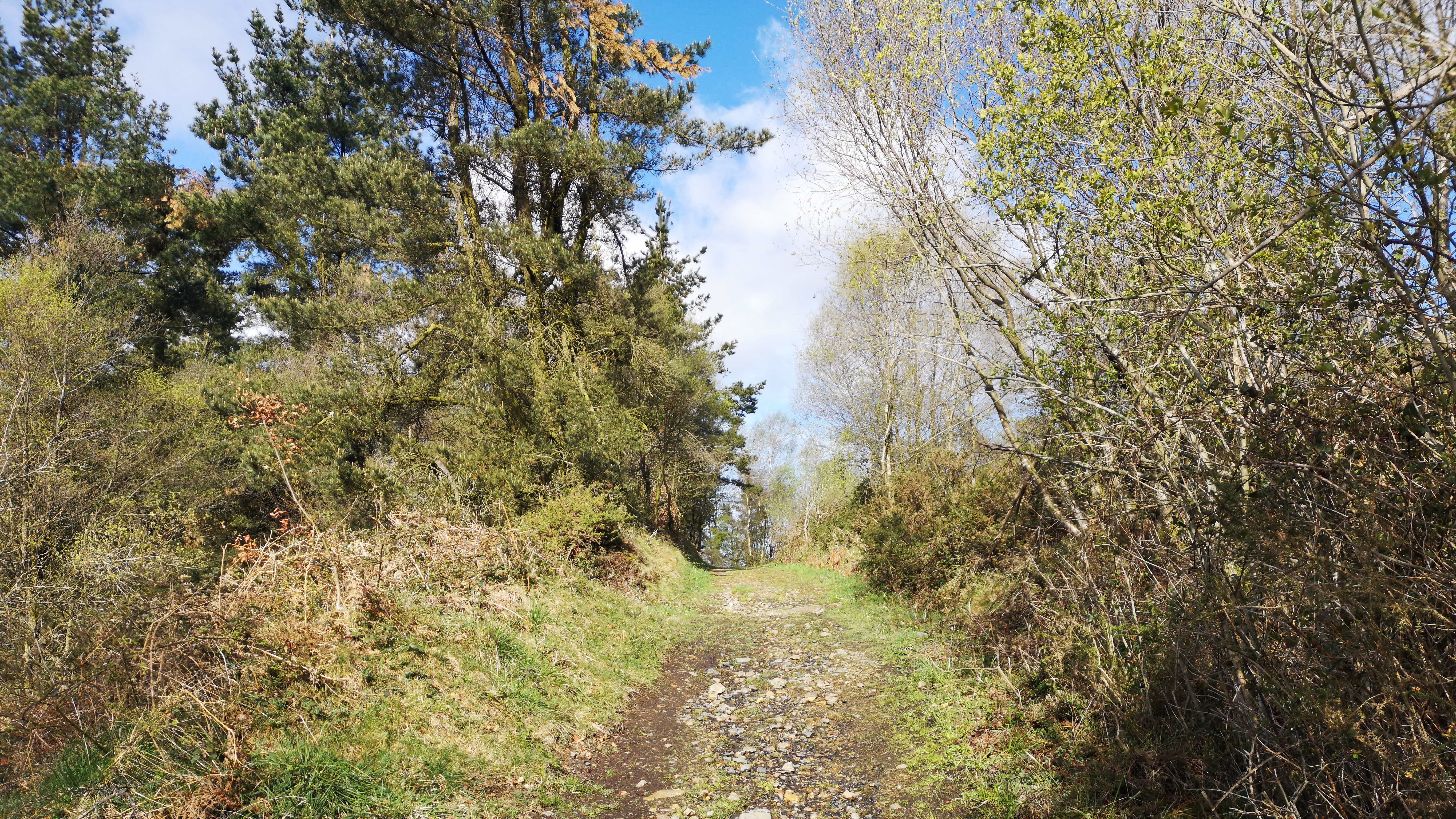 Über Stock und Stein auf dem Camino Primitivo