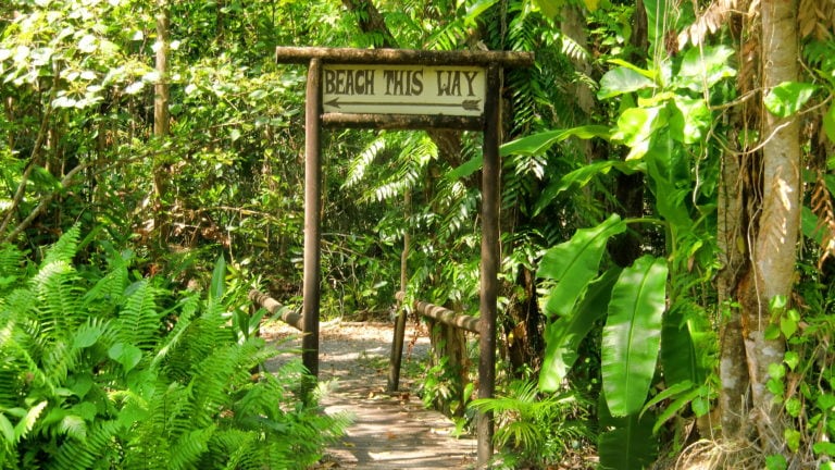 Schild „Beach this way“ am Cape Tribulation in Queensland Australien