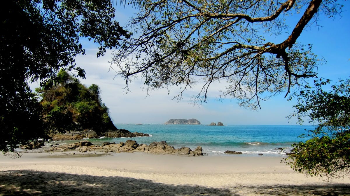 Kapuzineräffchen am Strand von Manuel Antonio in Costa Rica