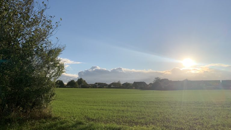 Mitten in Flensburg wird noch Landwirtschaft betrieben