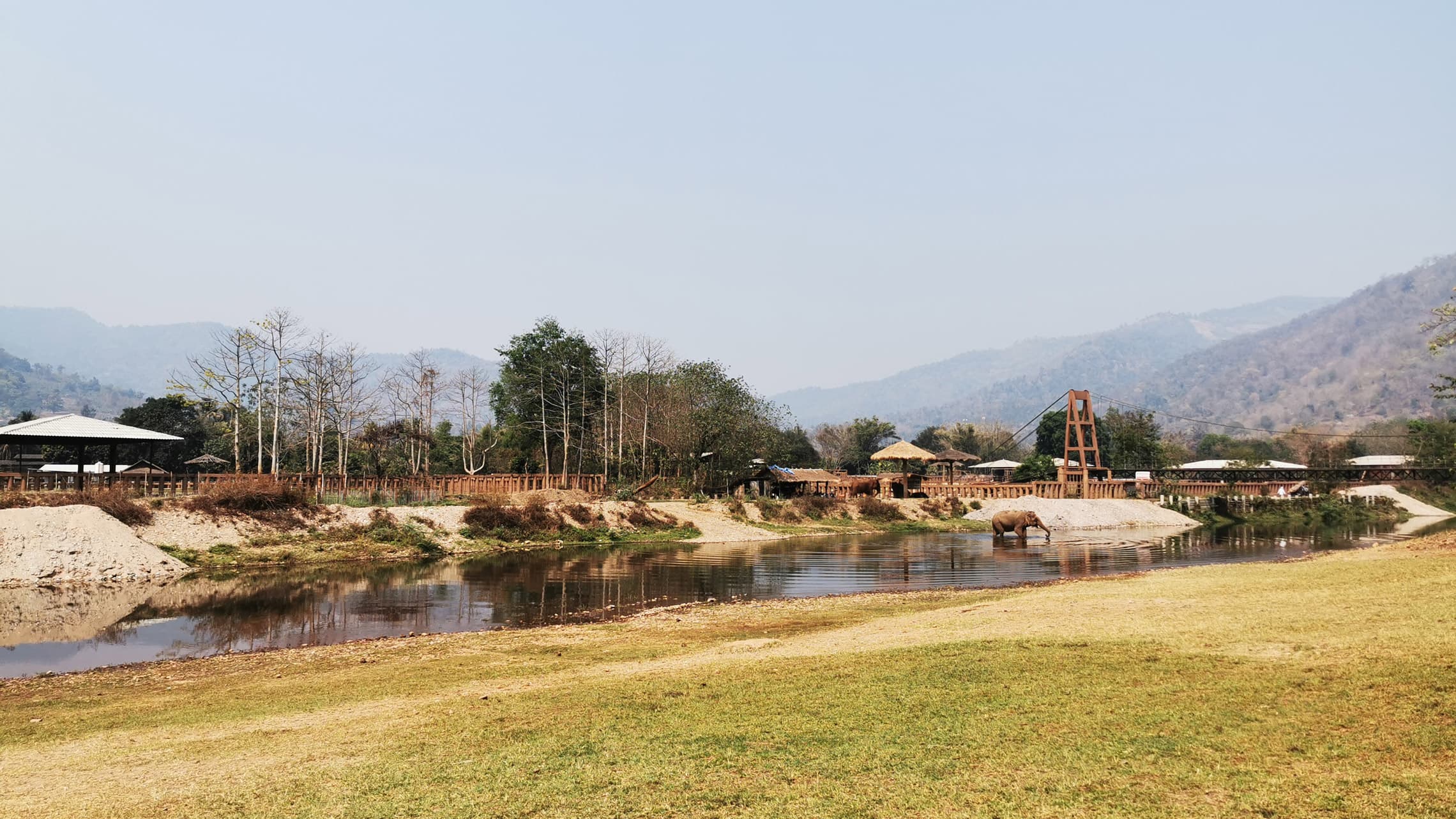 Als wir den Elephant Nature Park erreichten, war ich jedoch gleich positiv überrascht und erleichtert. Ich sah ein großes, idyllisches, vom Dschungel und Bergen gesäumtes Areal, auf dem frei herumlaufende Elefanten, Büffel und allerhand Kleintiere ihren restlichen Lebensweg antreten durften.