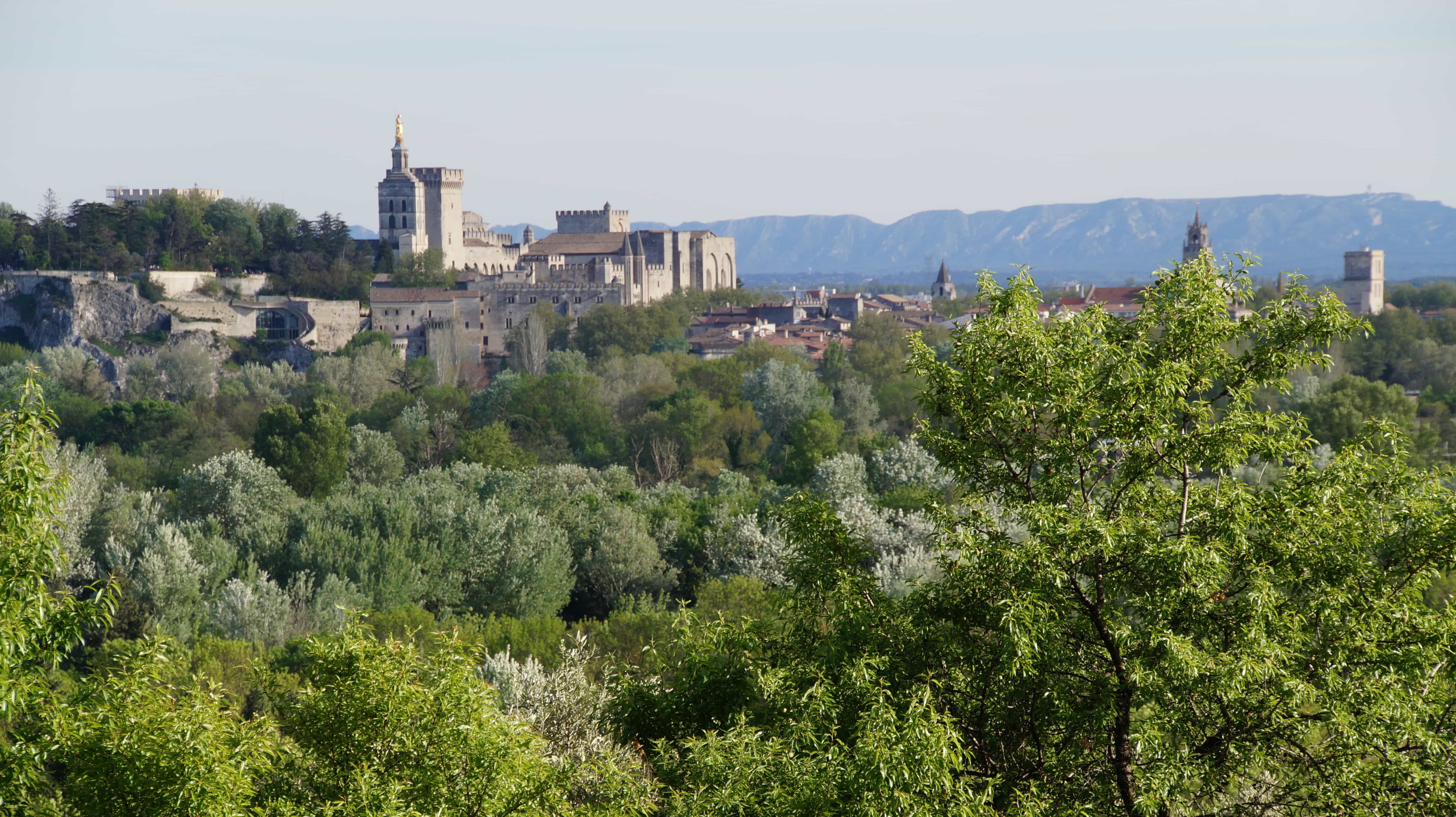 Blick von oben in Avignon in Frankreich