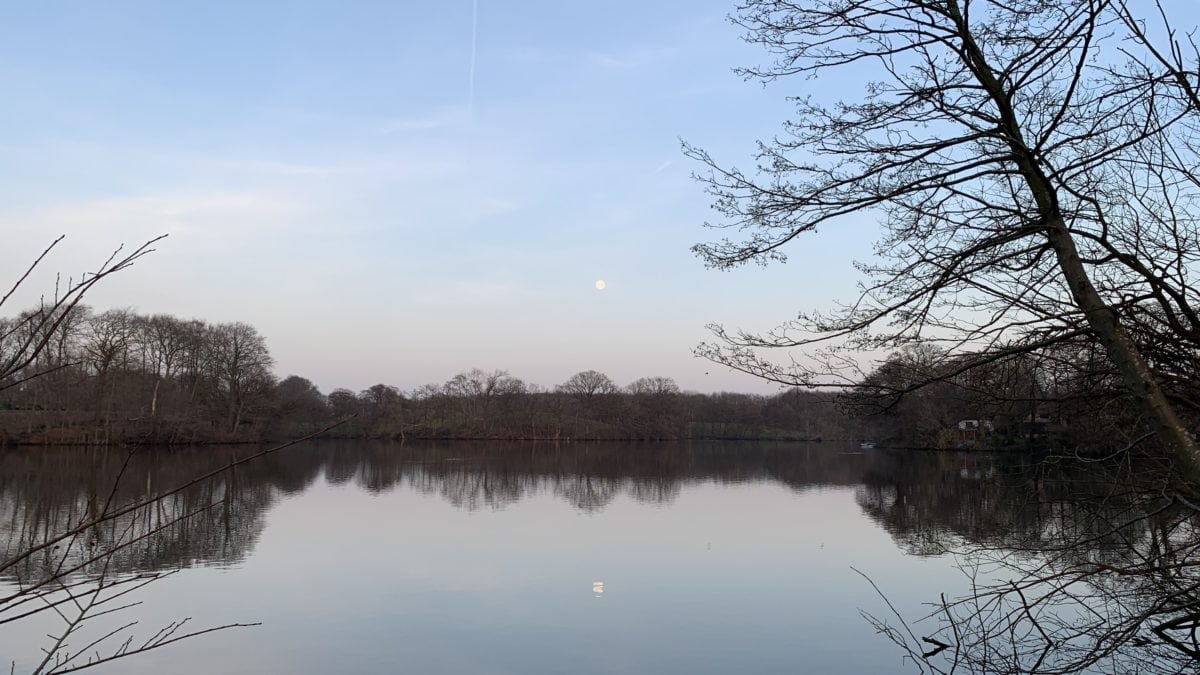 Abendstimmung: Der Mond scheint auf den See in Glücksburg