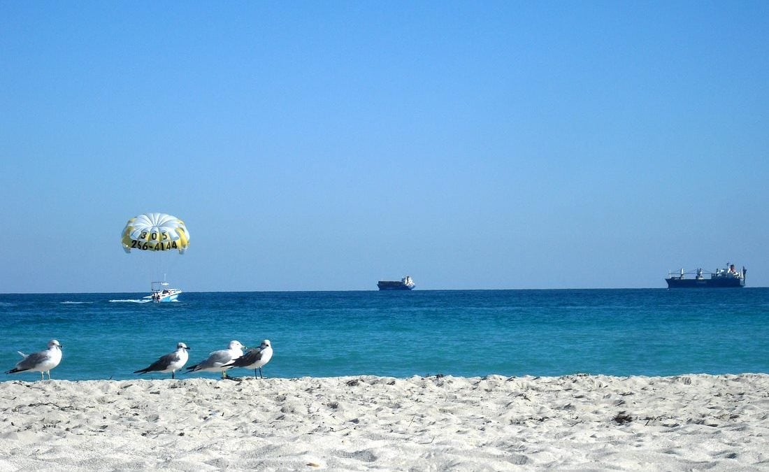 Johanna Bose am Strand mit Blick aufs Meer