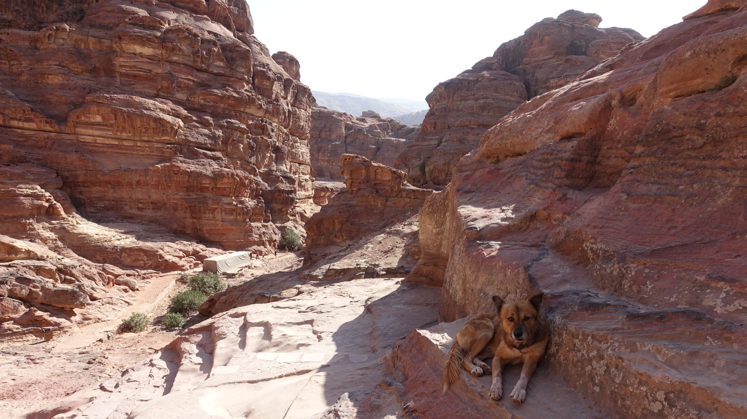 Wanderung in Petra in Jordanien