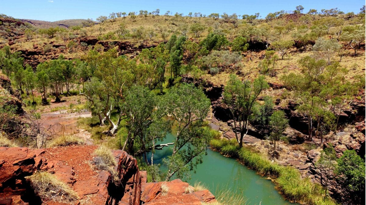 Grüner Pool im Karijini Nationalpark