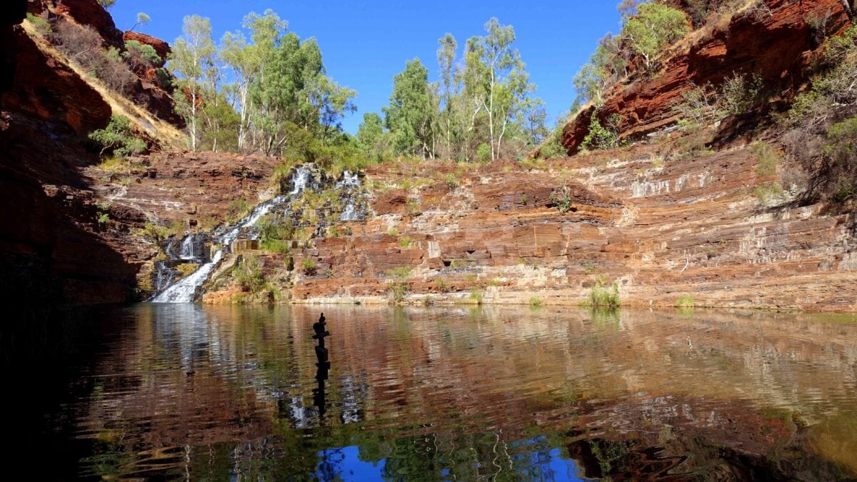 Wasserspiegelungen im grünen Pool im Karijini-Nationalpark