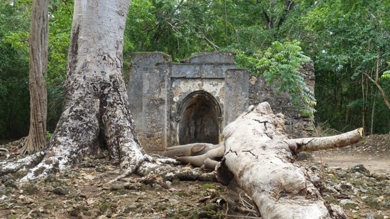 Gedi nahe Watamu in Kenia