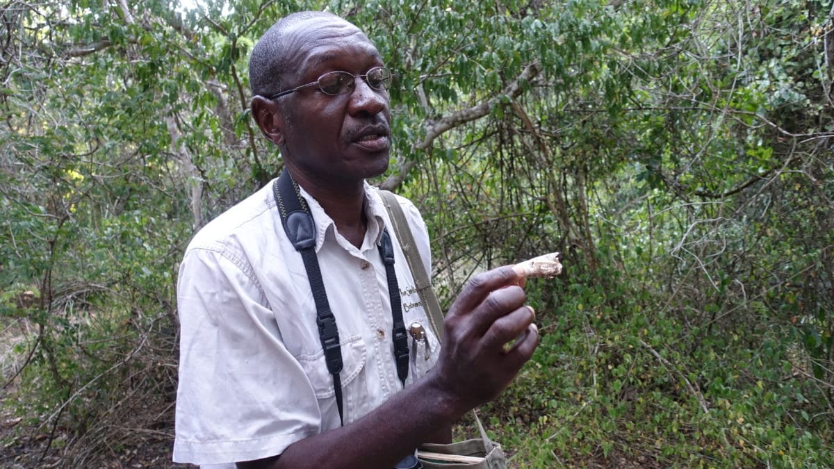 Guide Jonathan im Arabuko Sokoke Forest