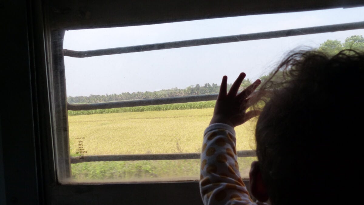 Lauras Kind blickt aus dem Zug auf die indische Landschaft.