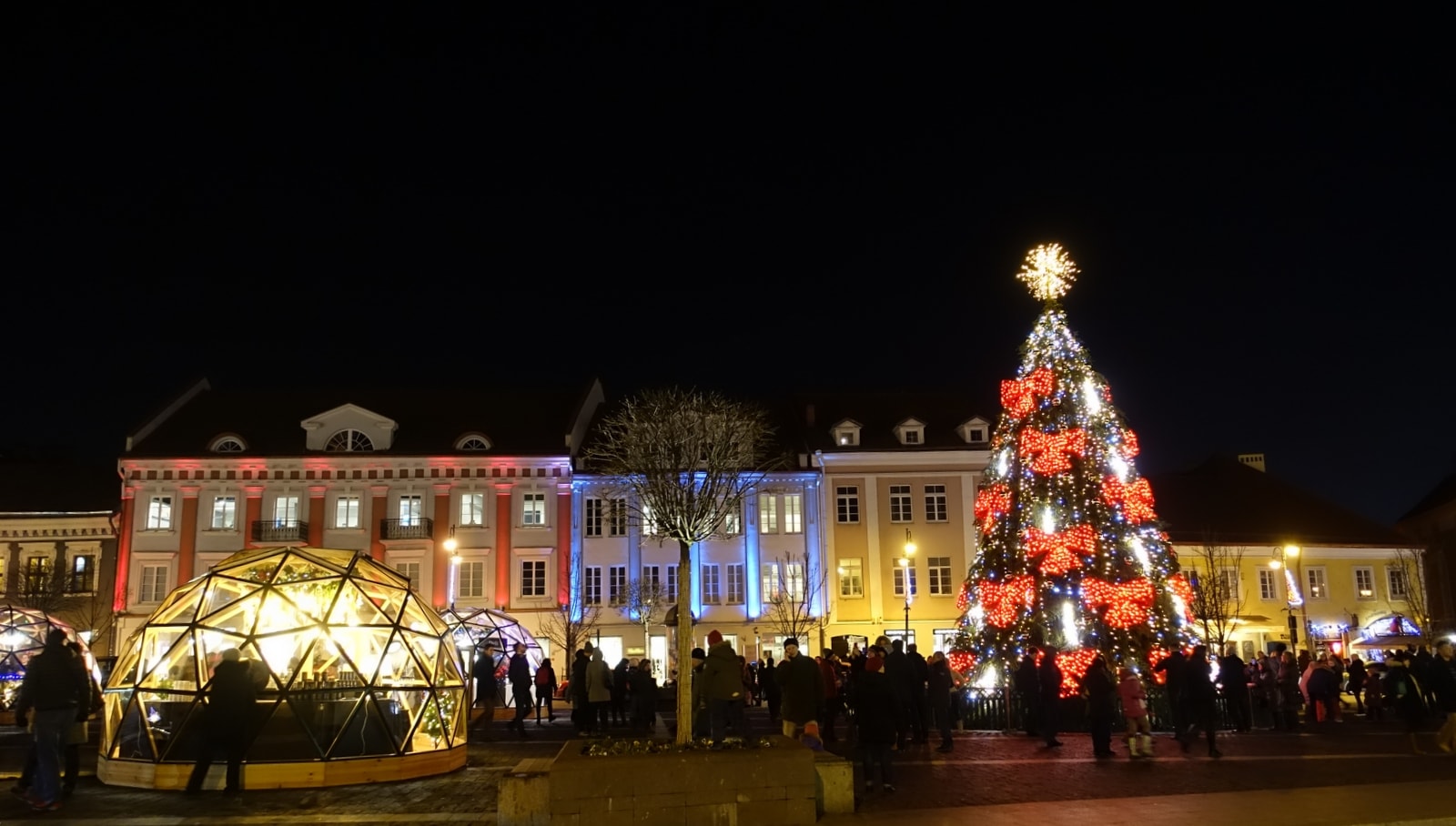 Bunte Häuser und ein Weihnachtsbaum in Vilnius