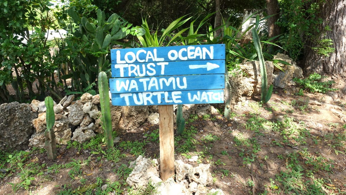 Das Local Ocean Trust: Watamu Turtle Watch