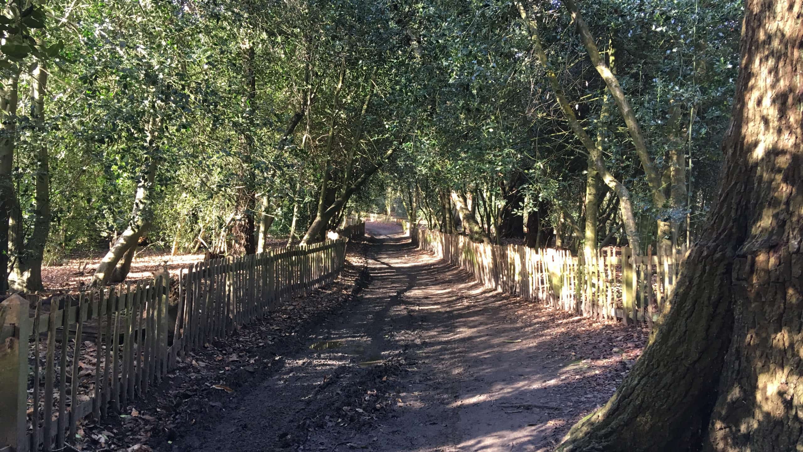 Sandweg durch Hampstead Heath, zwischen Gärten und Bäumen