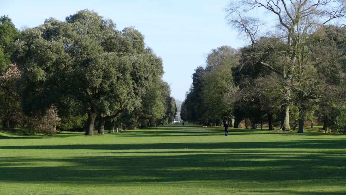 Hier, mitten in Kew Gardens, wandere ich durch eine blühende Parklandschaft – und das mitten im Januar!