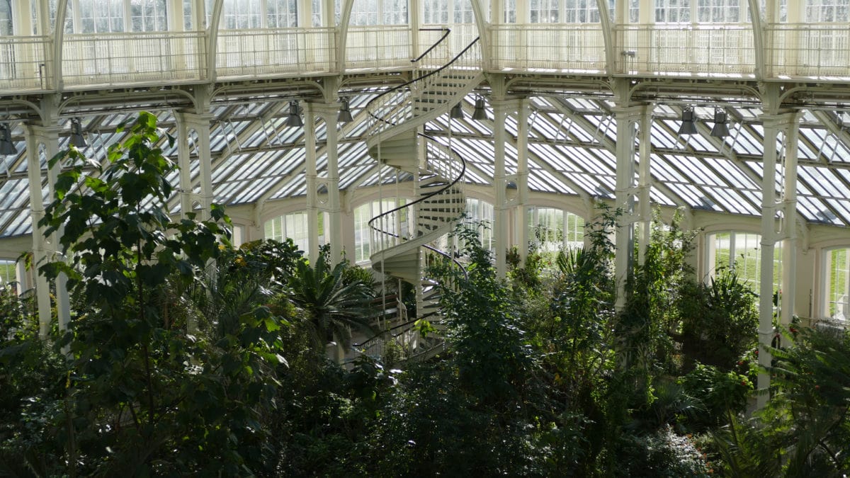 Bei meinem Besuch im Temperate House in Kew Gardens dreht gerade ein Filmteam eine neue Dokumentation.