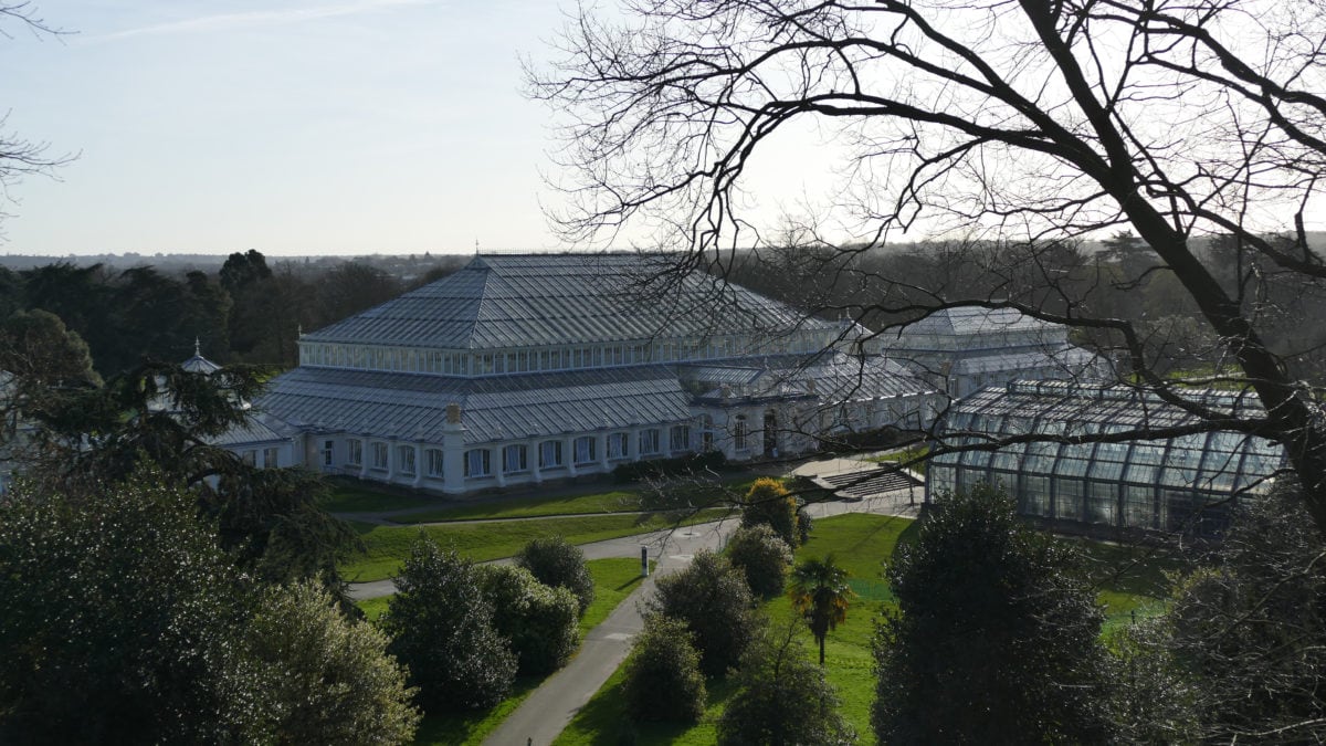 Viele Stunden in Kew Gardens verbringe ich damit, exotische Pflanzen aus Südafrika, Australien, Neuseeland und Asien im Temperate House zu bewundern.