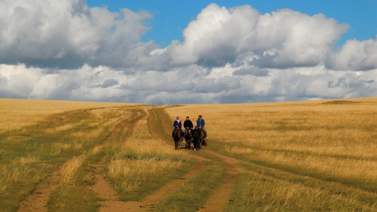 Ausritt mit Pferden in der Steppe in der Mongolei