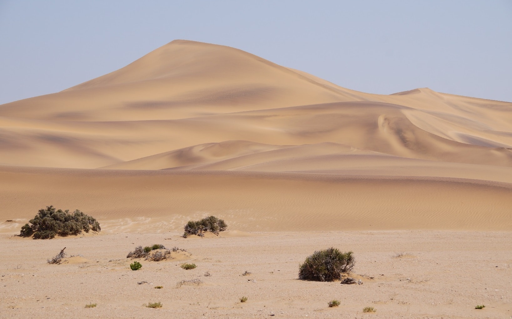 Die Namib Wüste in Namibia