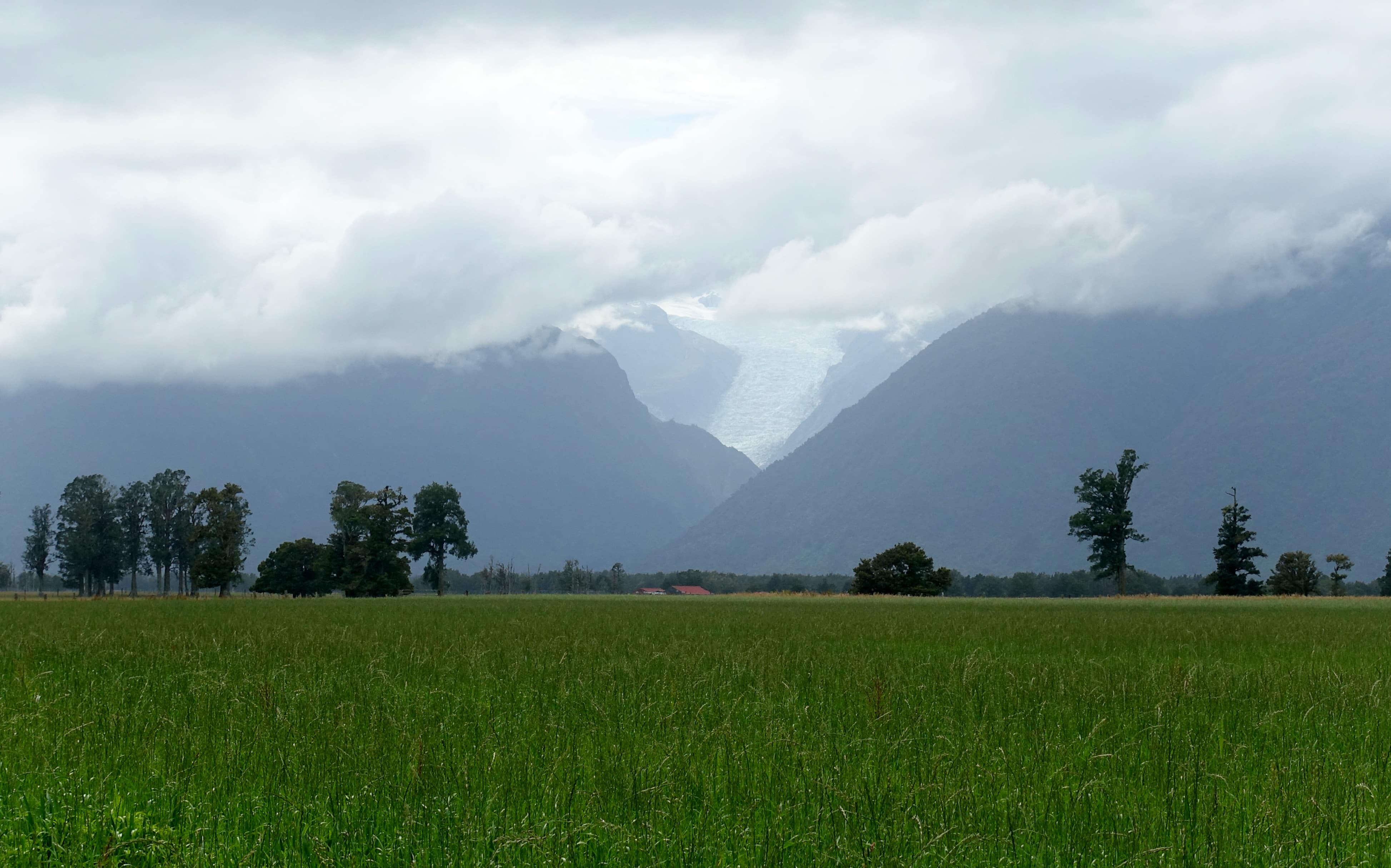 Peak Viewpoint in Neuseeland zum Fox Glacier