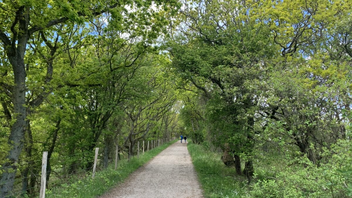 Weg entlang der Küste in Nieby