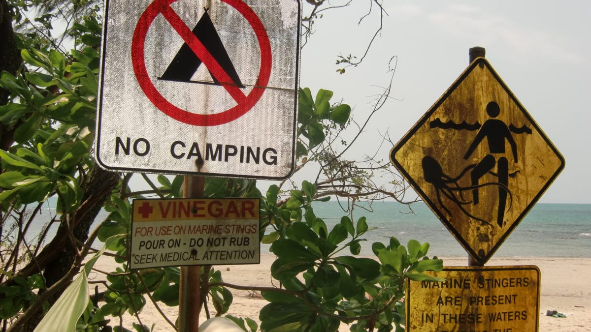 Warnhinweise am Cape Tribulation in Queensland Australien