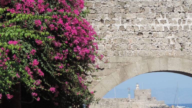 Blumen am Stadttor von Rhodos Stadt