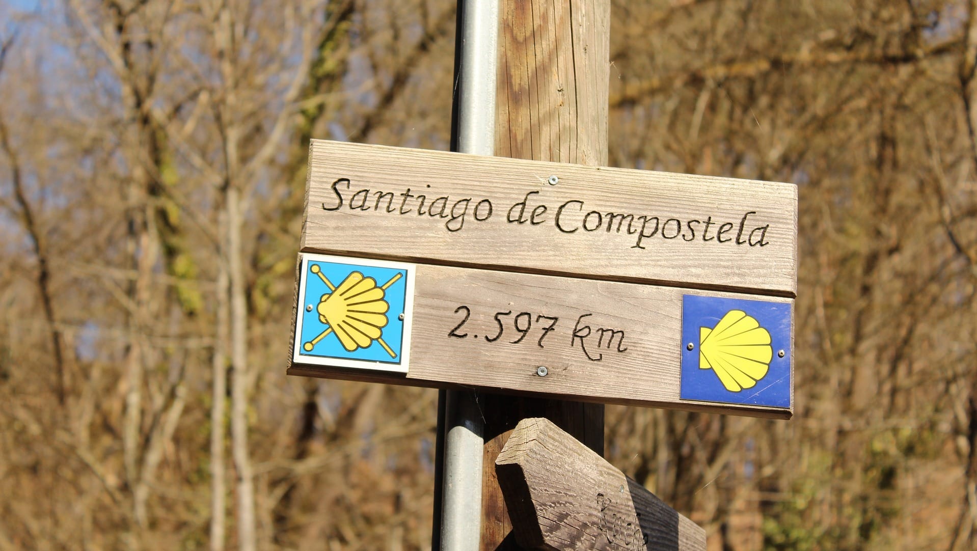 Wir haben es geschafft: Endlich sind wir in Santiago de Compostela