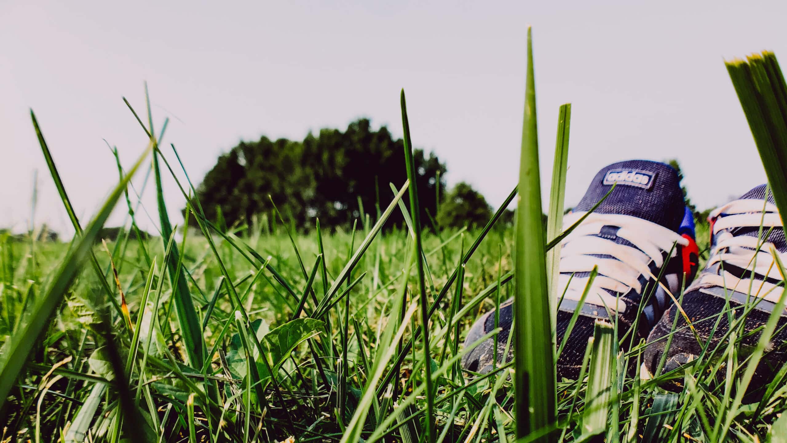 Schuhe auf einer grünen Wiese