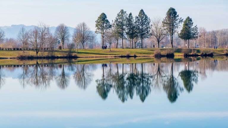 Bäume spiegeln sich in einem See