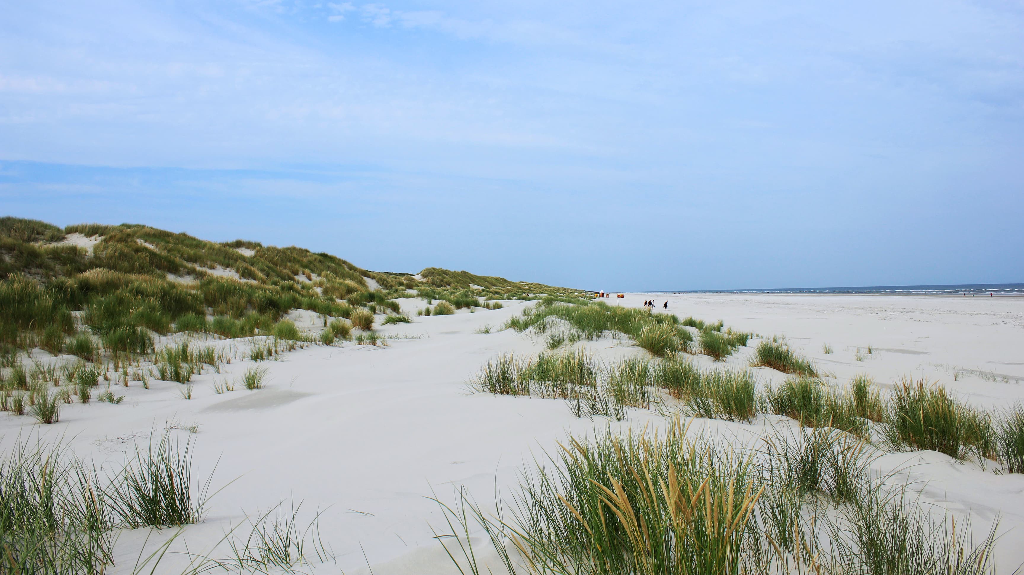 Am Rande des Strands: Die Dünen von Juist