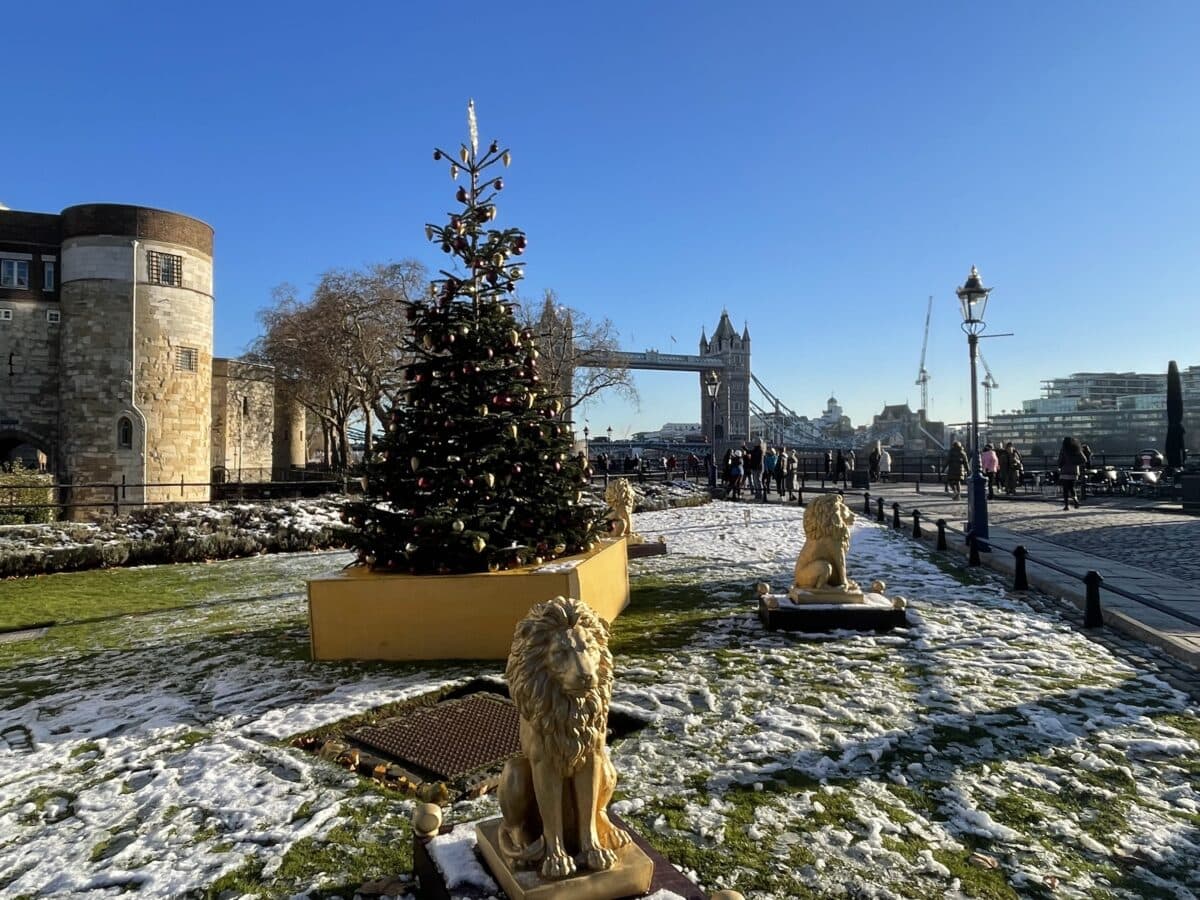 Weihnachtsbaum im Tower of London vor der Tower Bridge