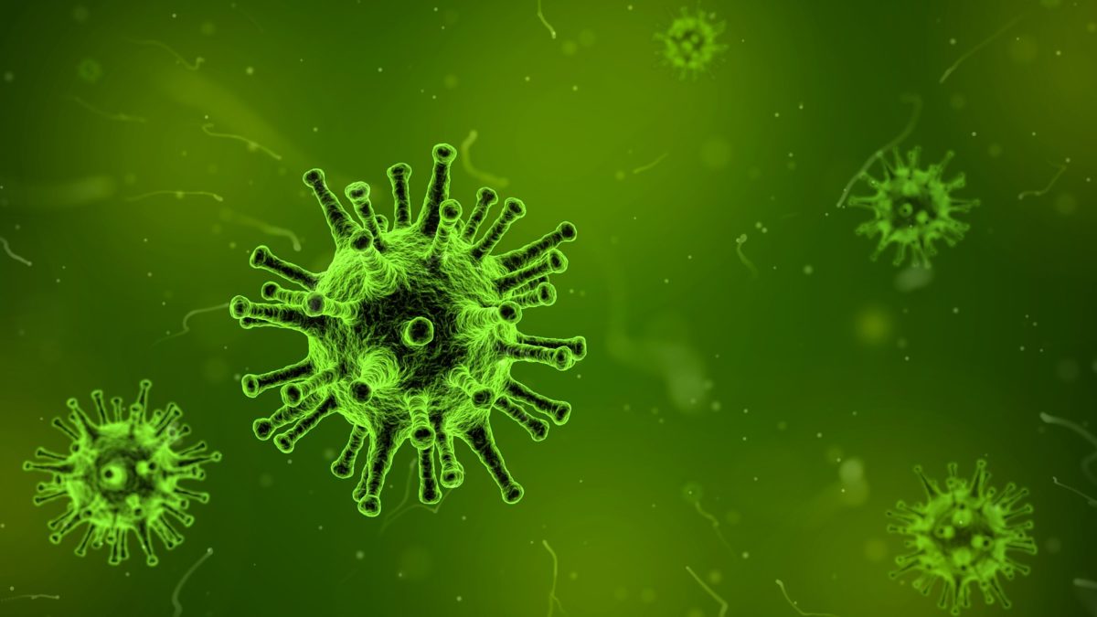 Viren grün eingefärbt von einem Mikroskop vergrößert 