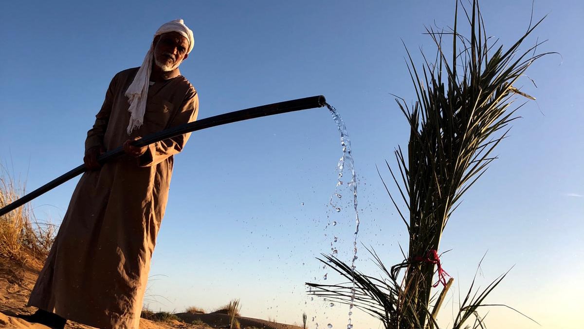 Nomade gießt Palme in der Wüste