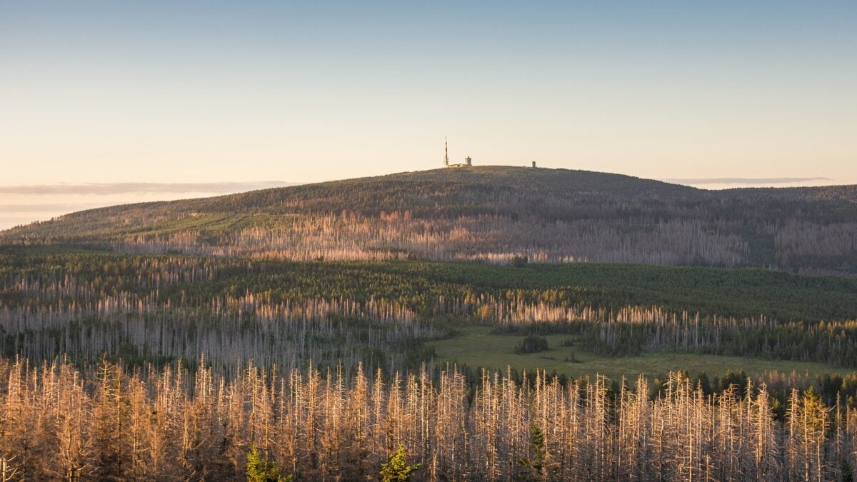 Aussicht auf den Brocken im Harz in Niedersachsen