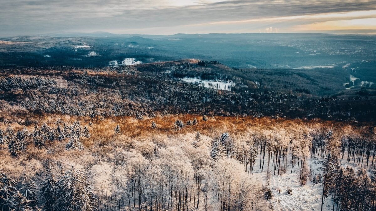 Eine verschneite Naturlandschaft im Taunus in Hessen