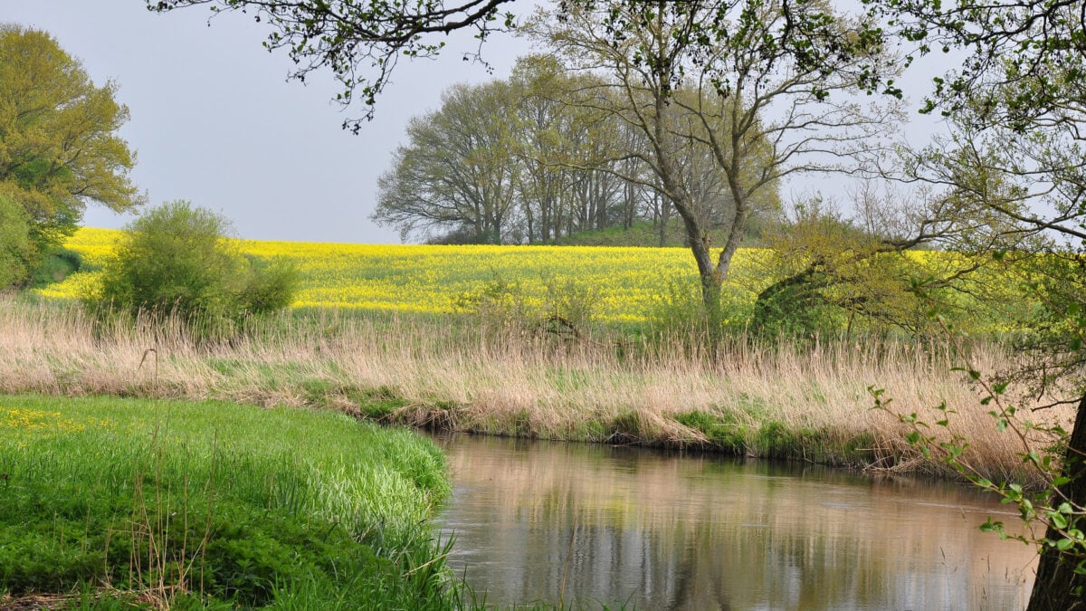 Am Fluss Warnow in MV liegt ein echter Wasserfall