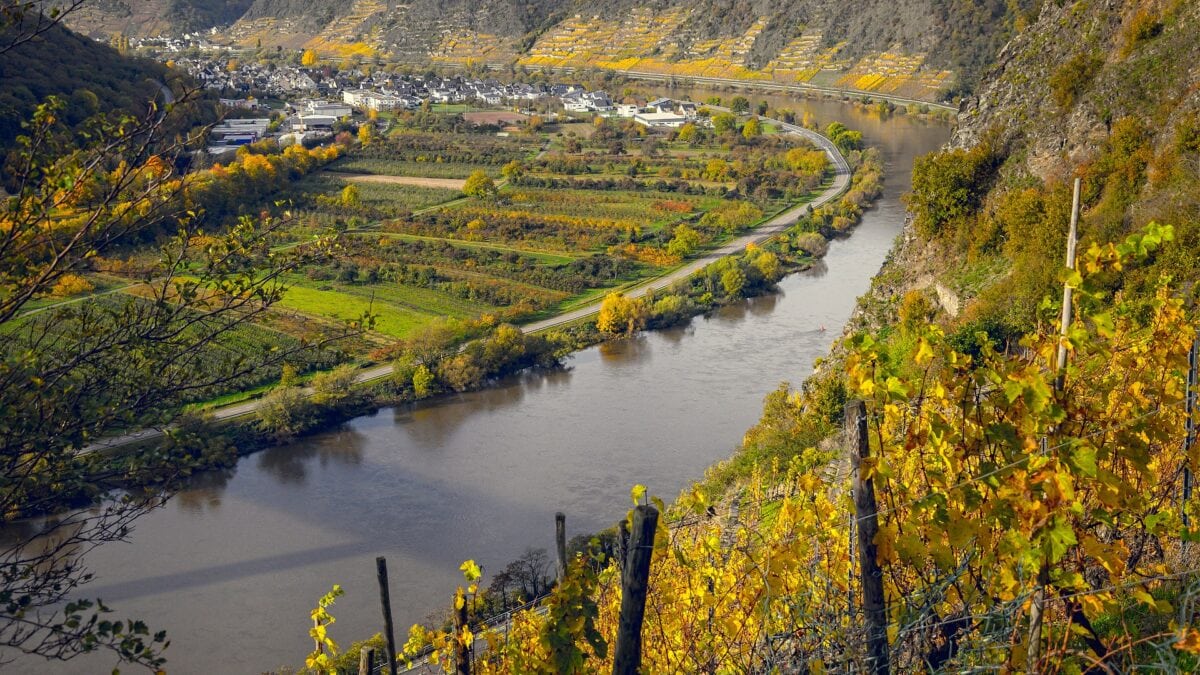 Wanderungen in Rheinland-Pfalz sind bekannt für ihre Pfade durch die Weinberge.